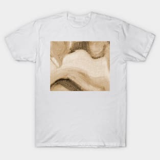 Abstract Oil Painting Eggshell Pastel Brown 1c23 T-Shirt